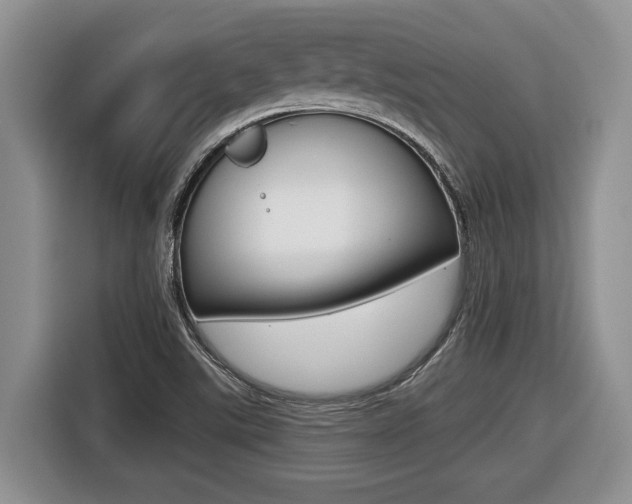 X0000116431507200912081210