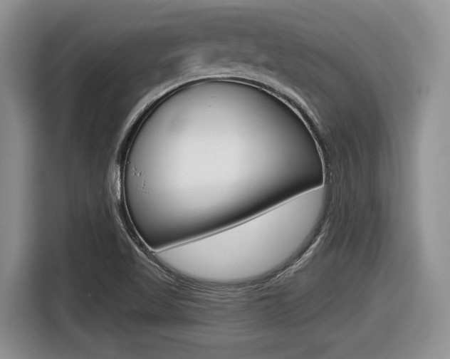 X0000116431509200912081210