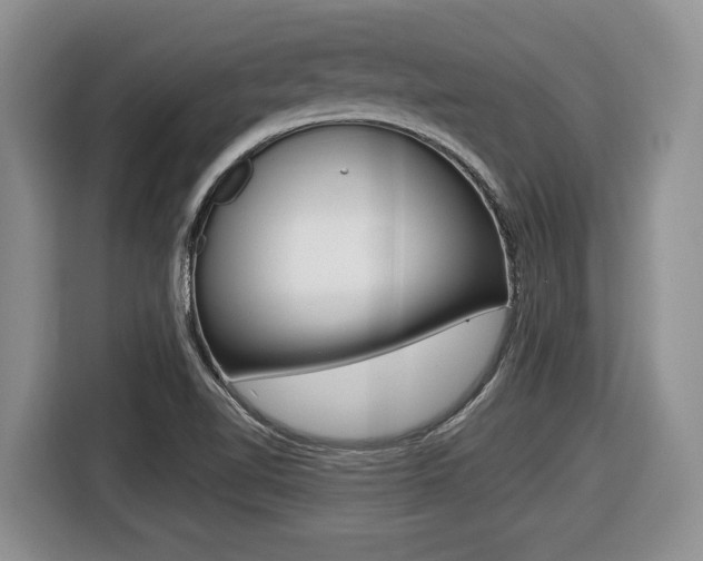 X0000116431510200912081210