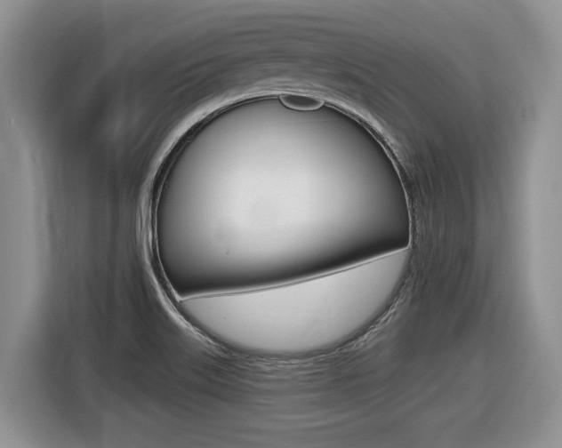 X0000116431515200912081210