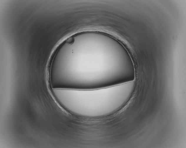 X0000116431517200912081210