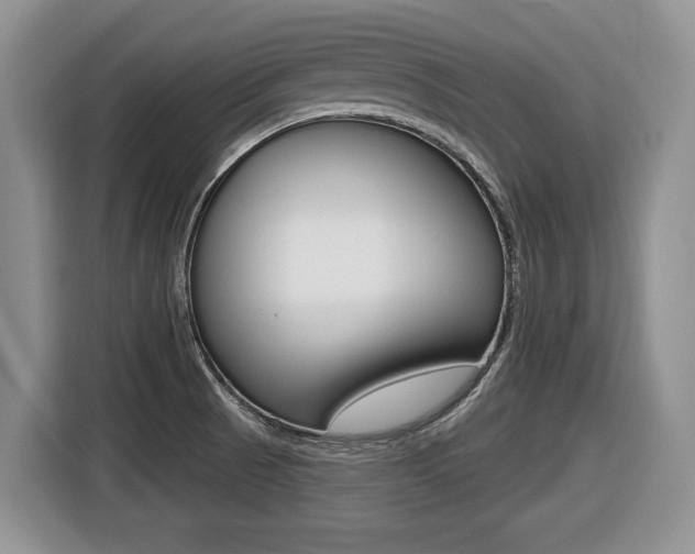 X0000116431521200912081210