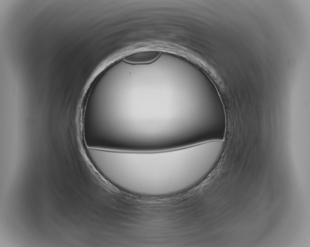 X0000116431522200912081210