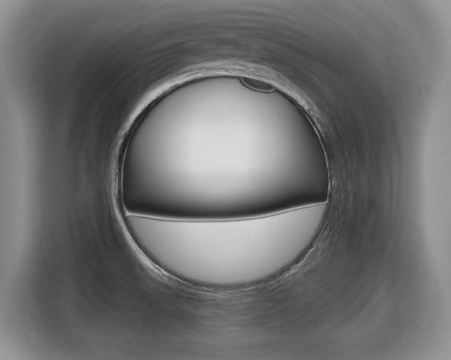X0000116431523200912081210