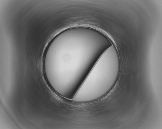 X0000116431525200912081210