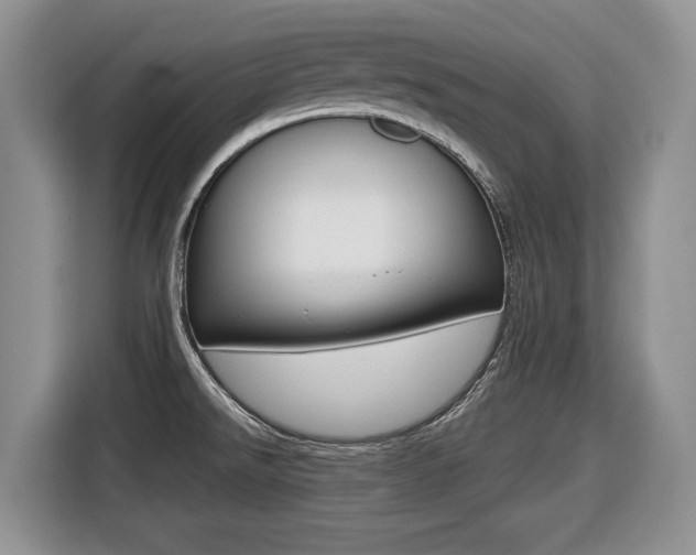 X0000116431526200912081210