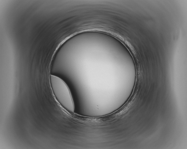 X0000116431529200912081210