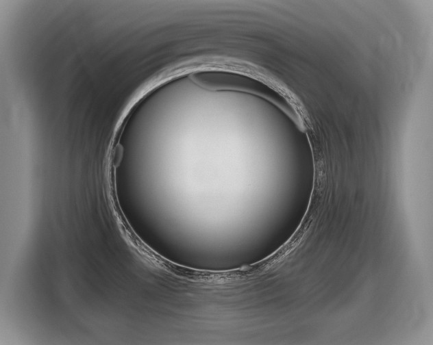 X0000116431530200912081210