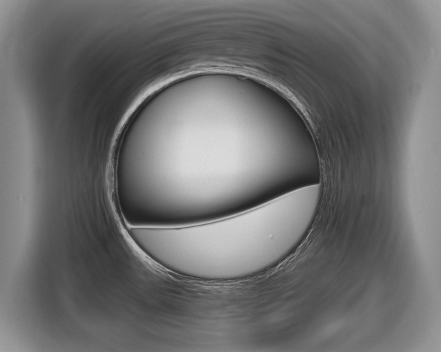 X0000116431531200912081210