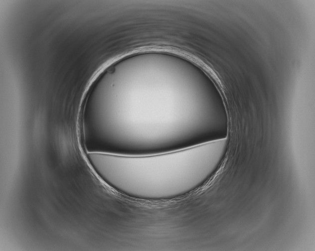 X0000116431533200912081210
