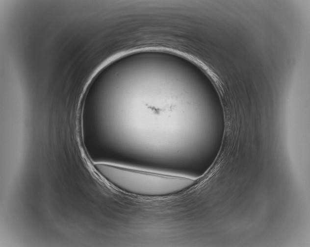 X0000116431534200912081210