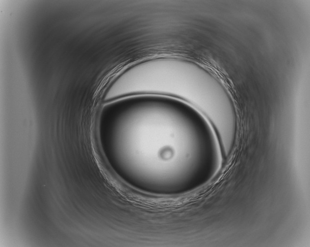 X0000116430001200912081534