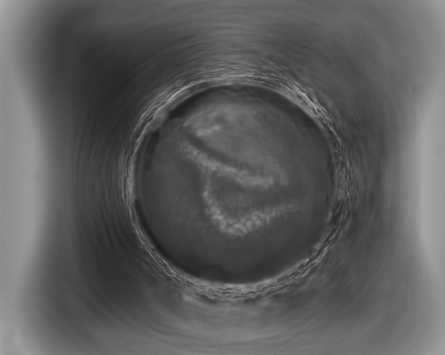 X0000116430002200912081534