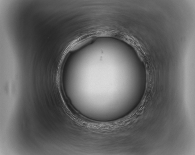 X0000116430003200912081534