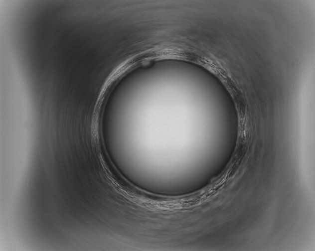 X0000116430004200912081534