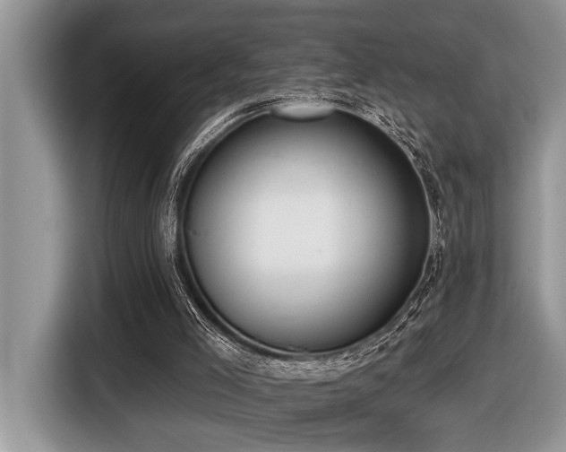 X0000116430005200912081534