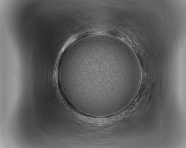 X0000116430006200912081534