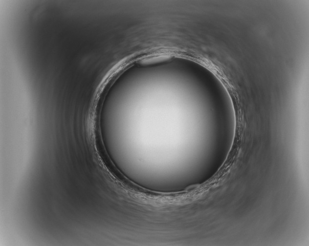 X0000116430007200912081534