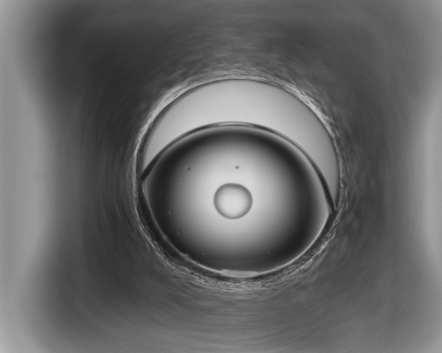 X0000116430008200912081534