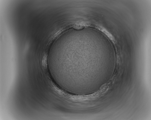 X0000116430009200912081534