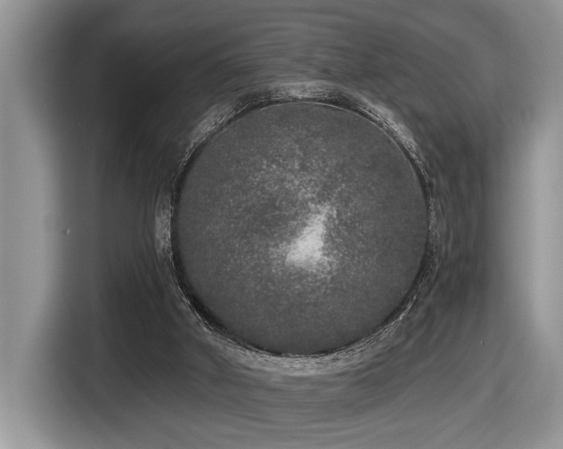 X0000116430010200912081534