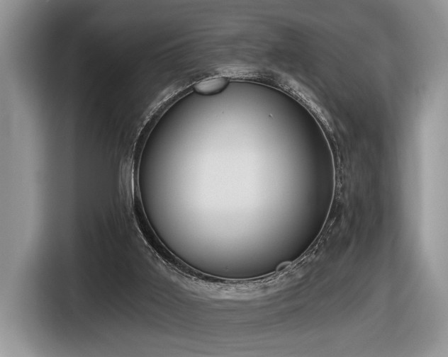 X0000116430011200912081534