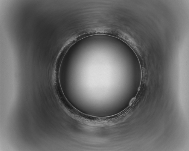 X0000116430012200912081534