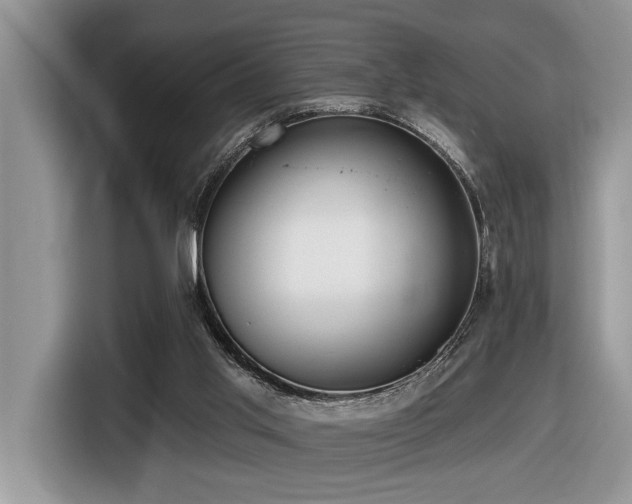 X0000116430013200912081534