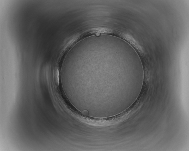 X0000116430014200912081534
