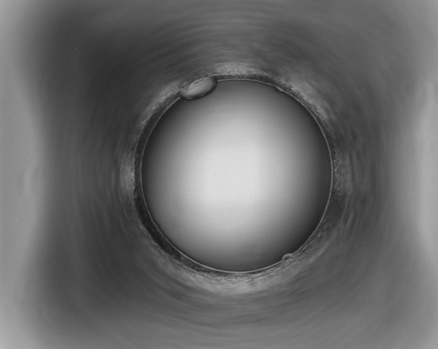 X0000116430015200912081534