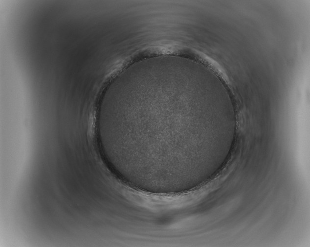 X0000116430018200912081534