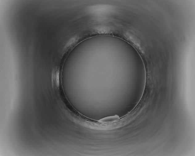 X0000116430019200912081534