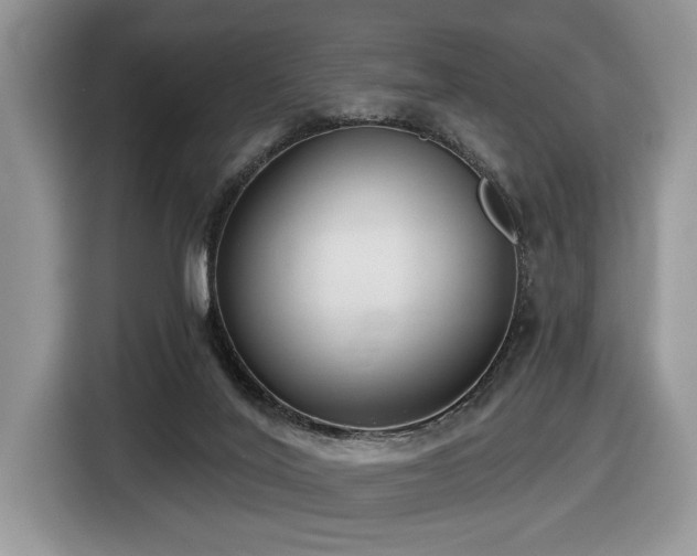 X0000116430020200912081534