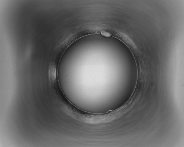 X0000116430021200912081534