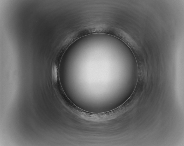 X0000116430022200912081534