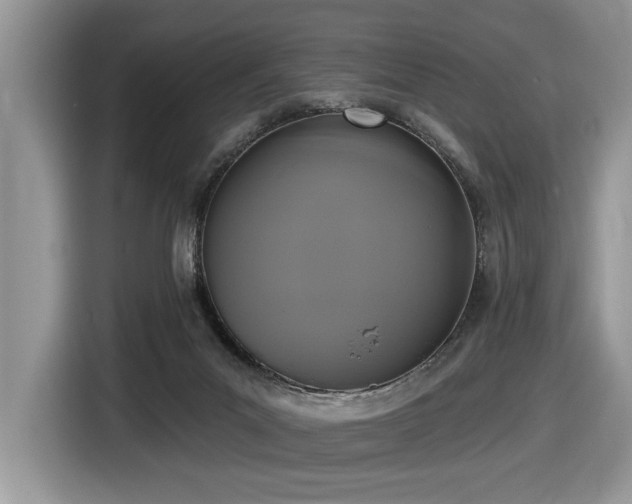X0000116430023200912081534