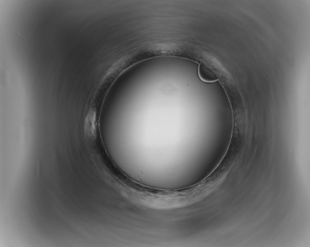 X0000116430024200912081534