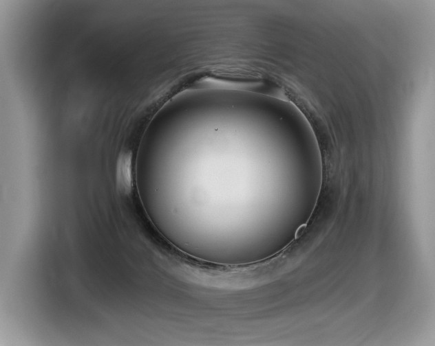 X0000116430028200912081534