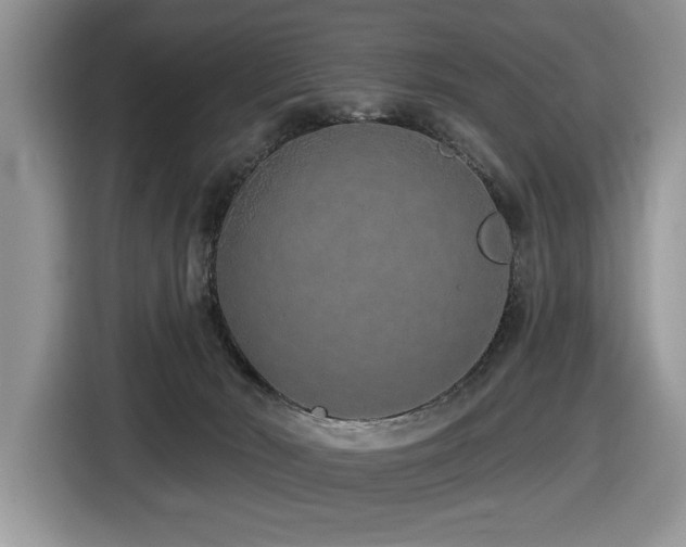 X0000116430030200912081534