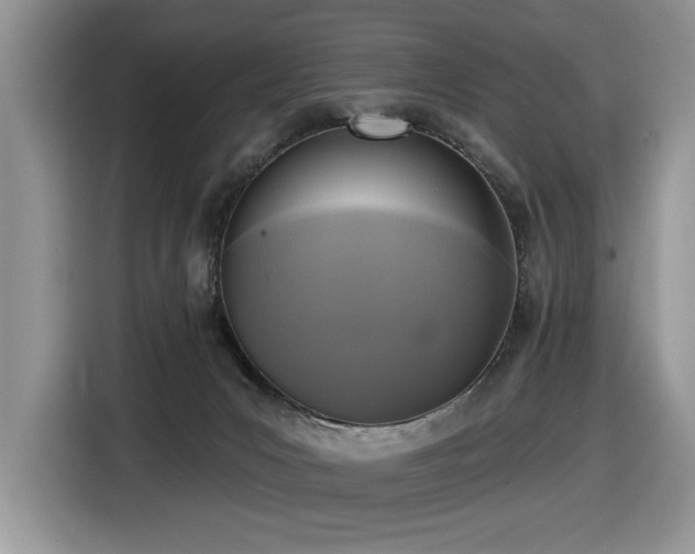 X0000116430031200912081534