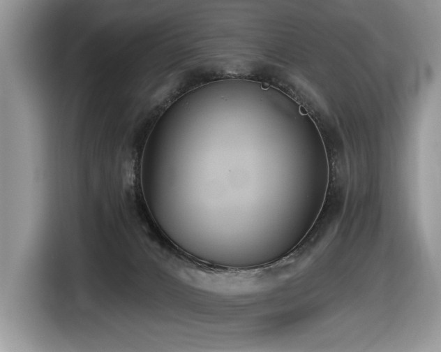 X0000116430032200912081534