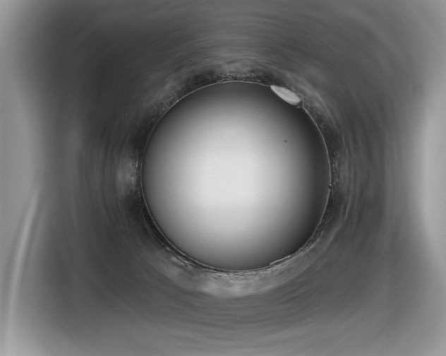 X0000116430033200912081534