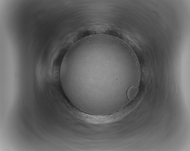 X0000116430034200912081534