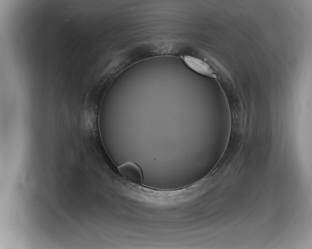 X0000116430035200912081534