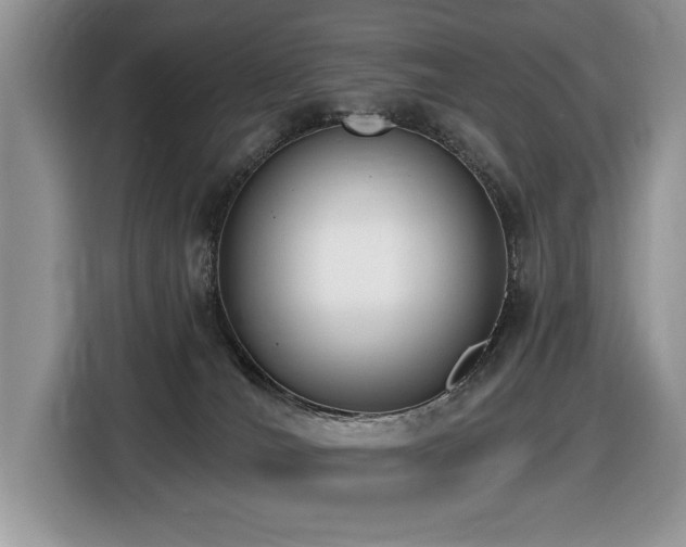 X0000116430036200912081534