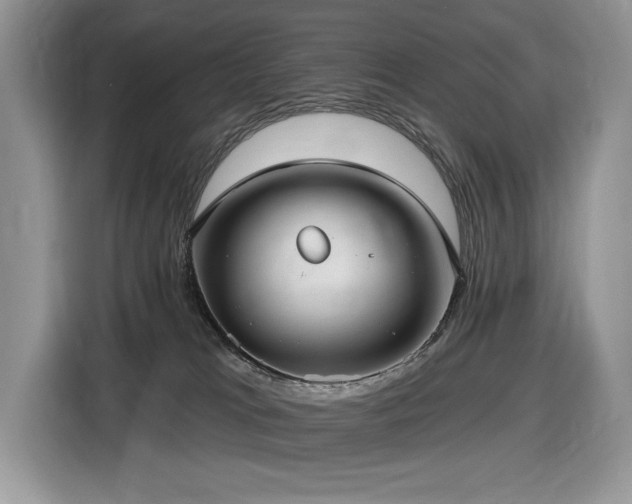 X0000116430037200912081534