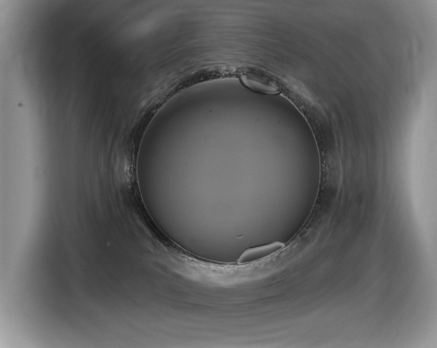 X0000116430039200912081533