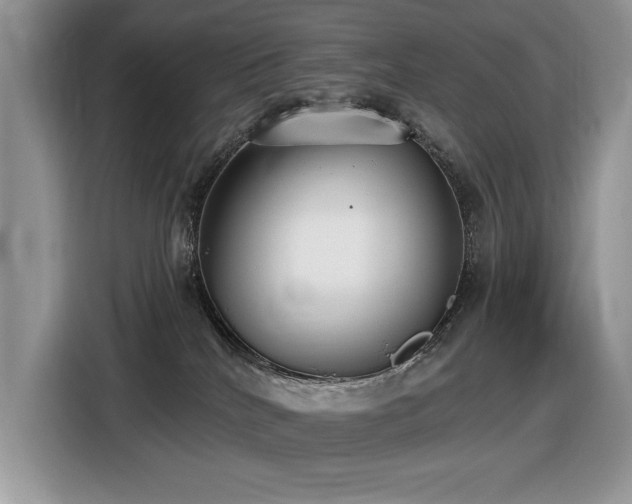 X0000116430040200912081533