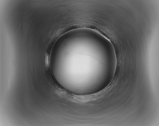 X0000116430041200912081533