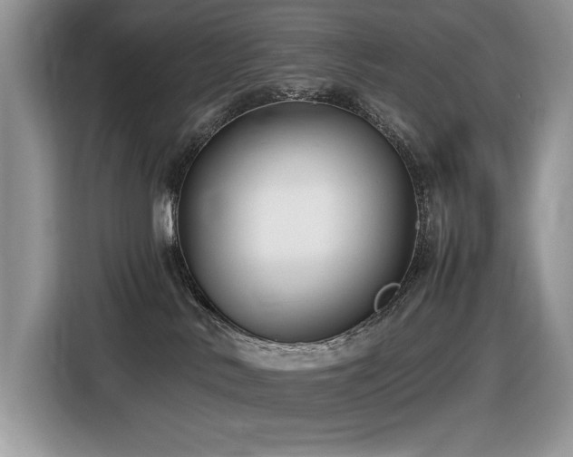 X0000116430042200912081533